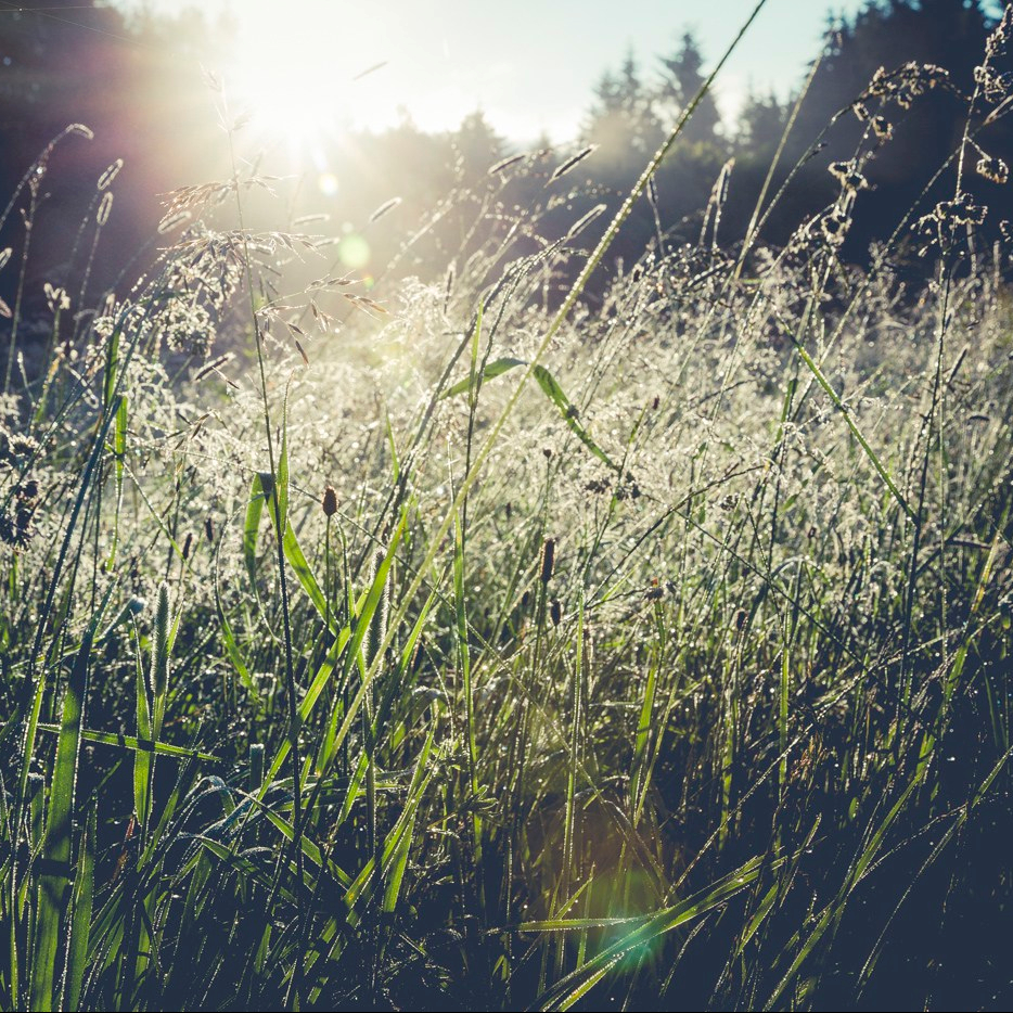 10x Geven zonder&nbsp;geld