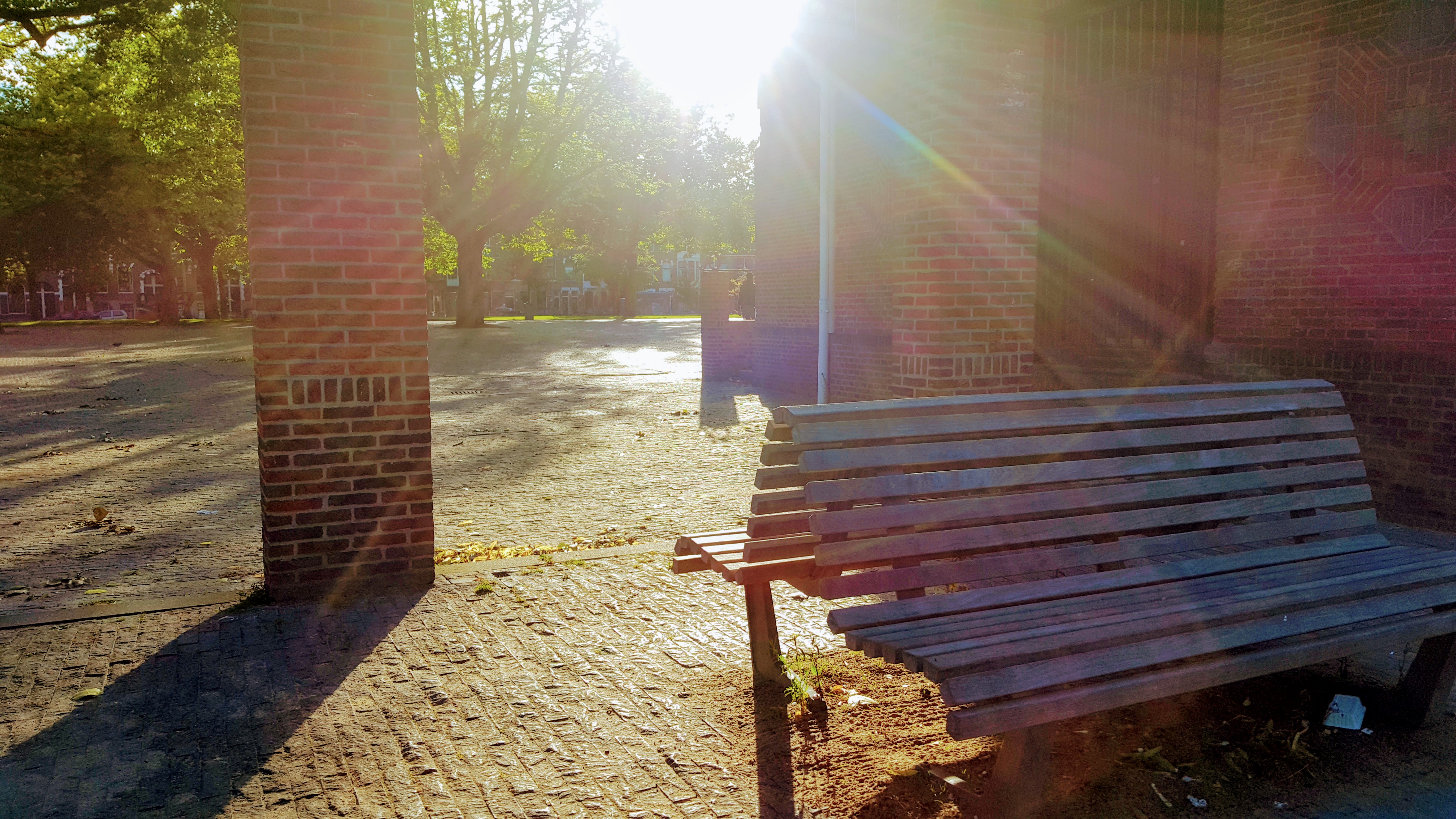 Zon in Park Energie Genieten