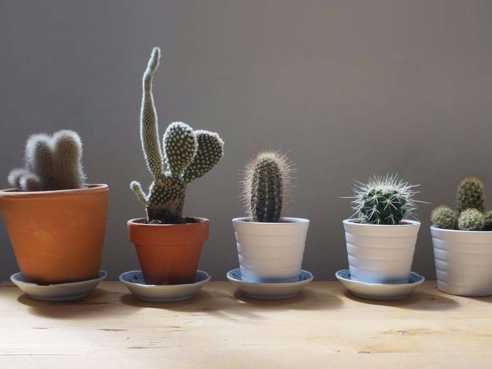 Minimaliseren, Samenwonen, Verhuizen