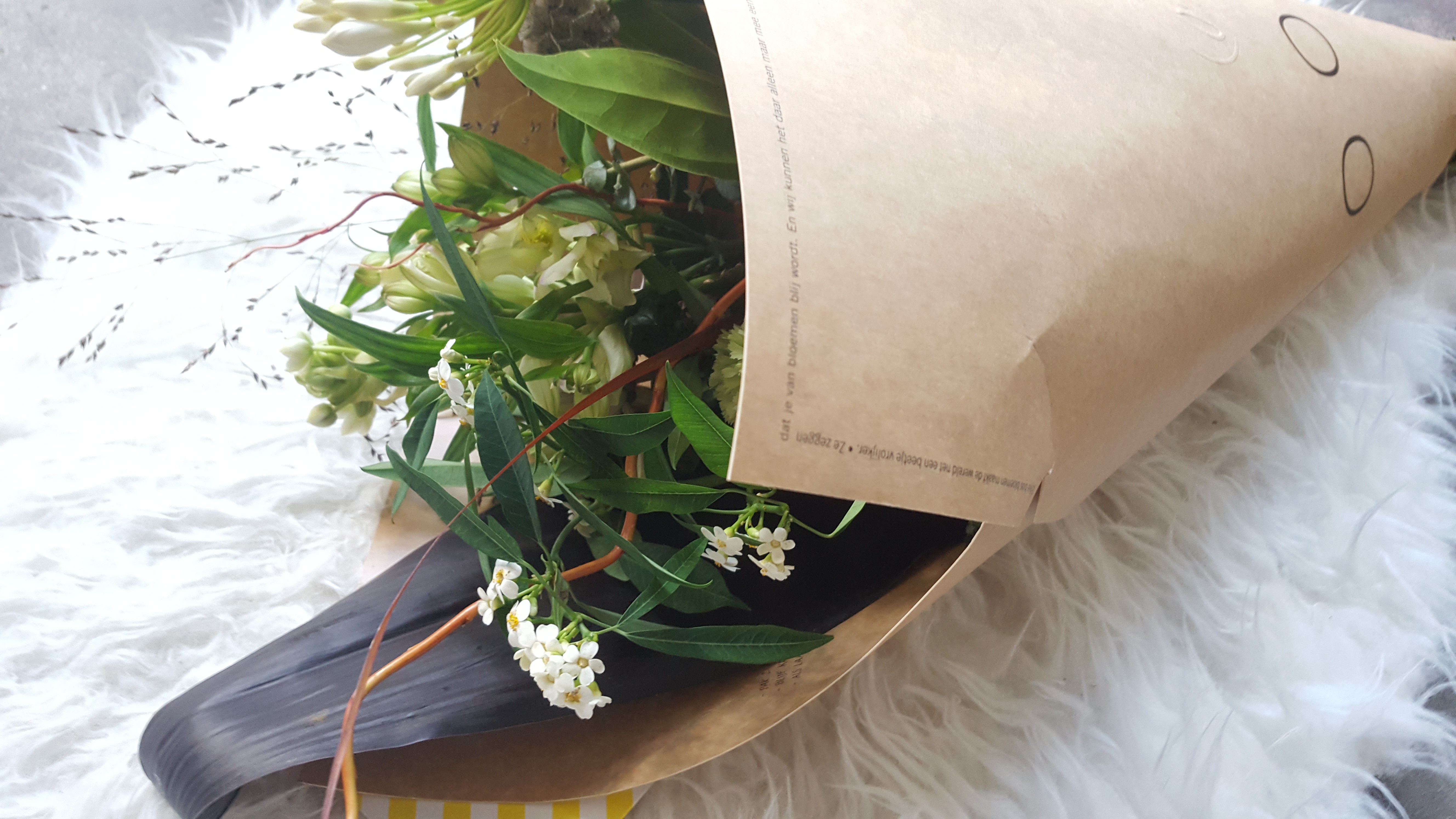 Mijn ervaringen met… Bloomon (+ Winactie)