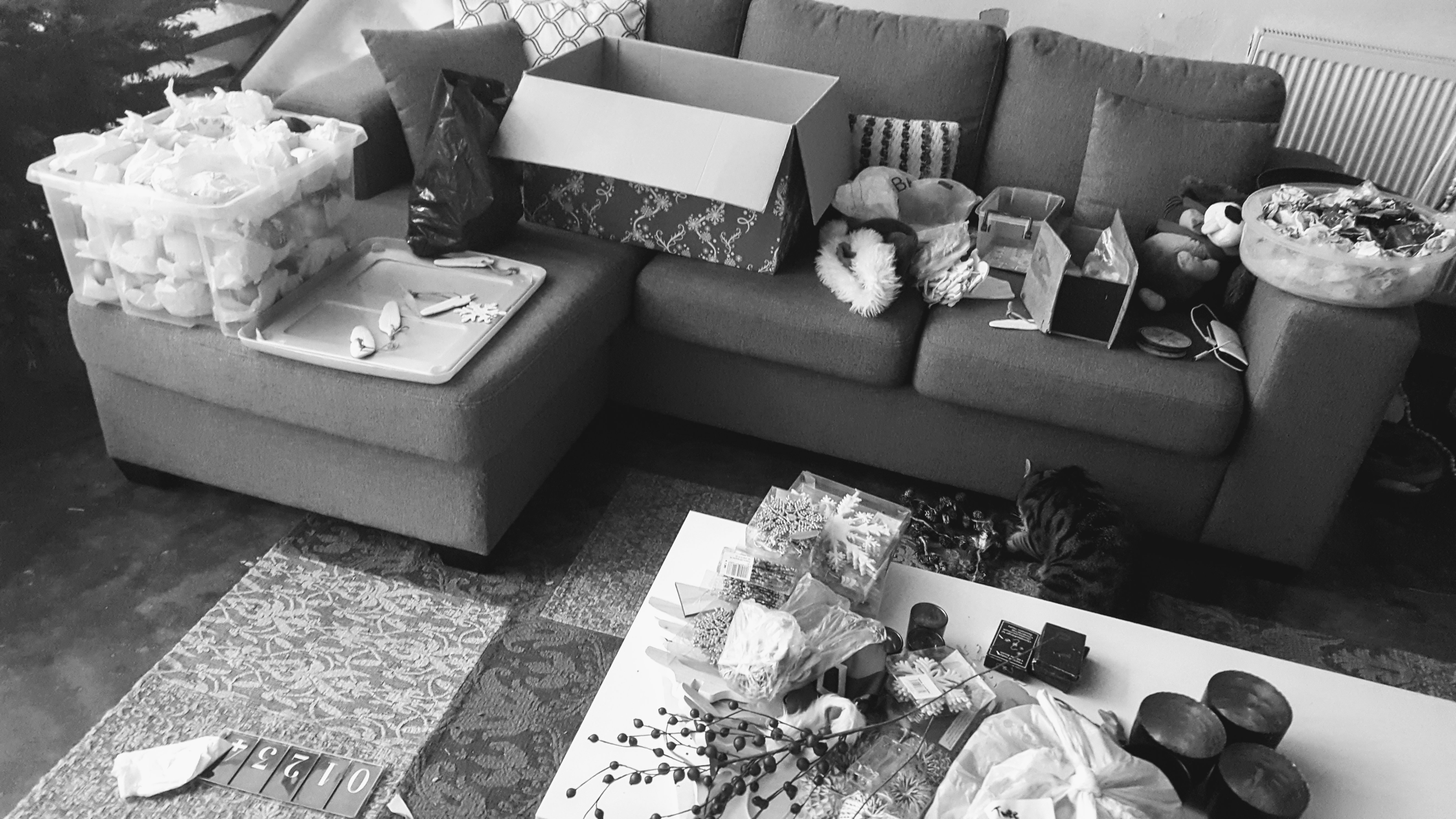 20180107_114657 (2).jpg