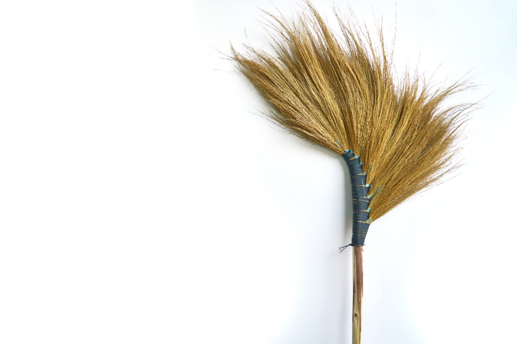 De Voorjaarsschoonmaak in 1&nbsp;Dag!