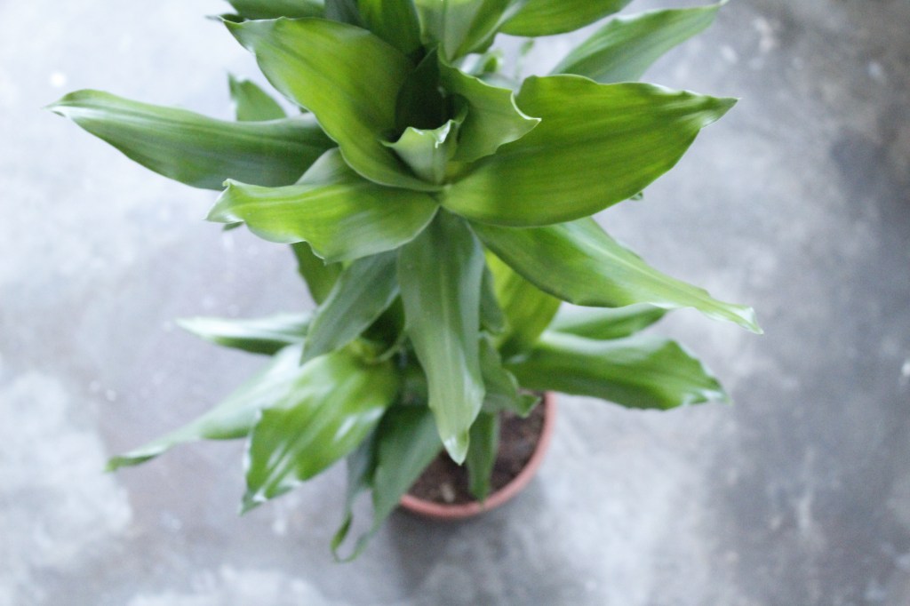 Een minimalistisch interieur: wat is dat&nbsp;eigenlijk?