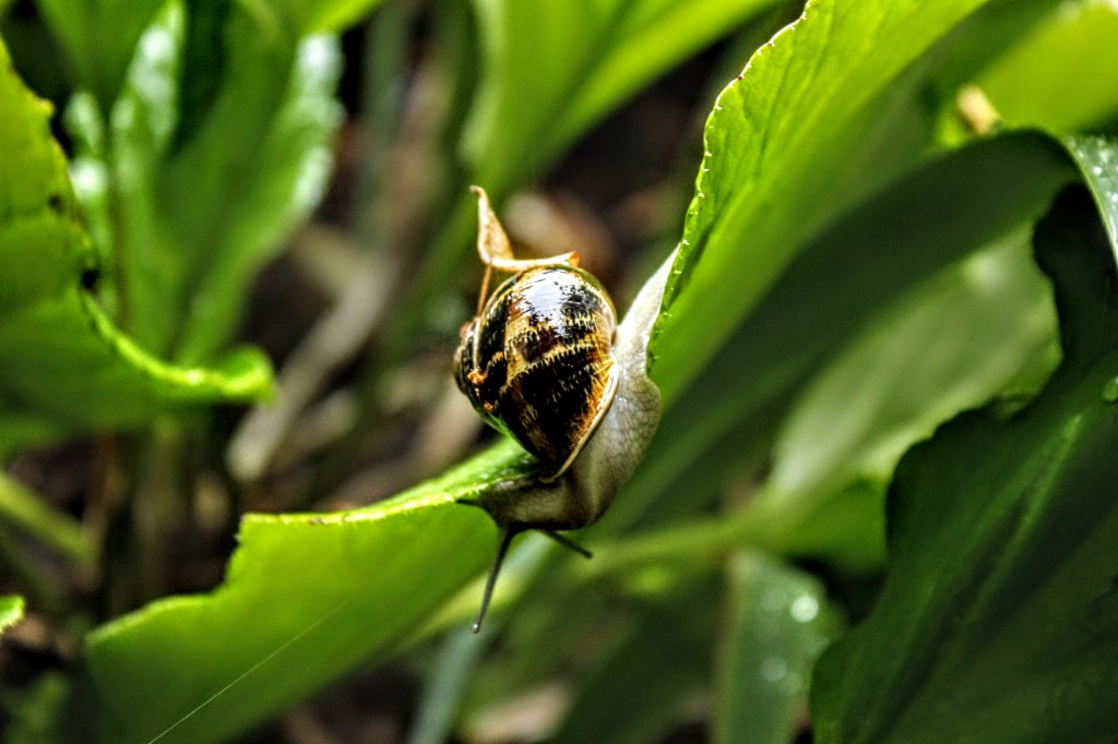 Zo begin je geleidelijk aan met&nbsp;minimalisme