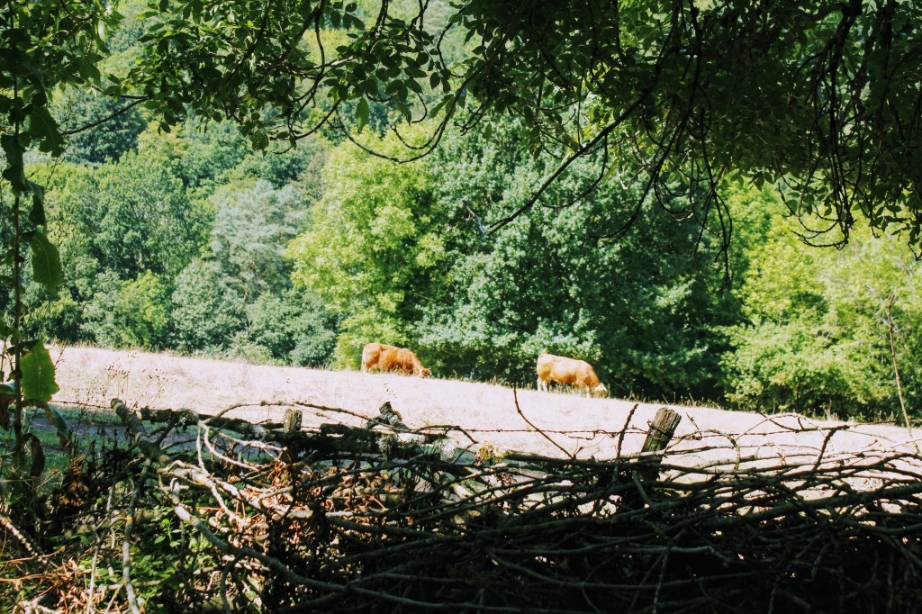De hoogste tijd… | MD Zomerspecial&nbsp;3