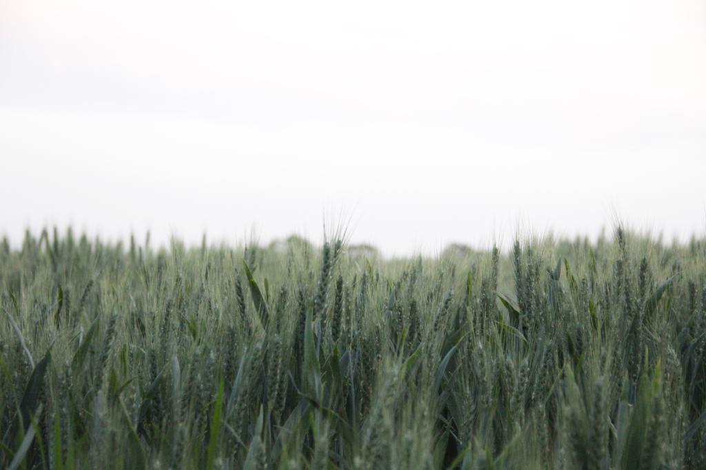 Anja’s Eco-Alternatieven 3 |&nbsp;Duurzaamheid