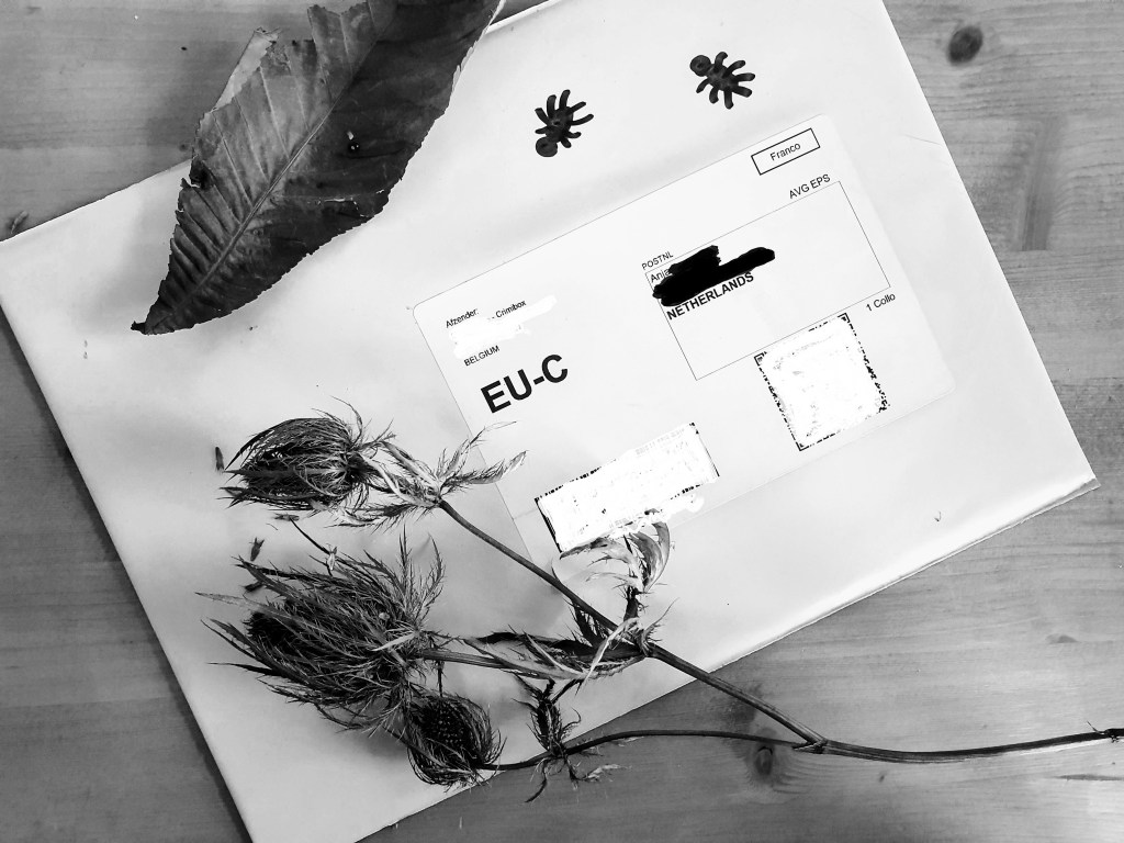 16 ideeën voor Halloween&nbsp;thuis