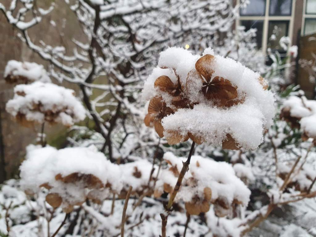 Dit deed ik al wel/niet van de winter&nbsp;bucketlist