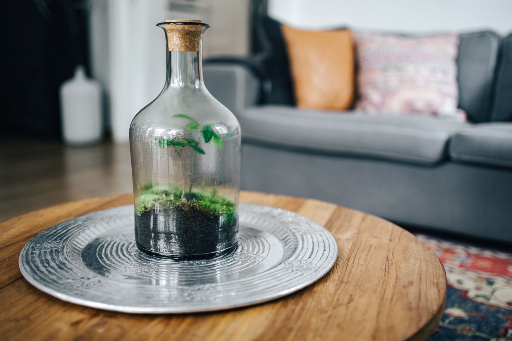 Ben je aan het minimaliseren, ontspullen of&nbsp;opruimen?