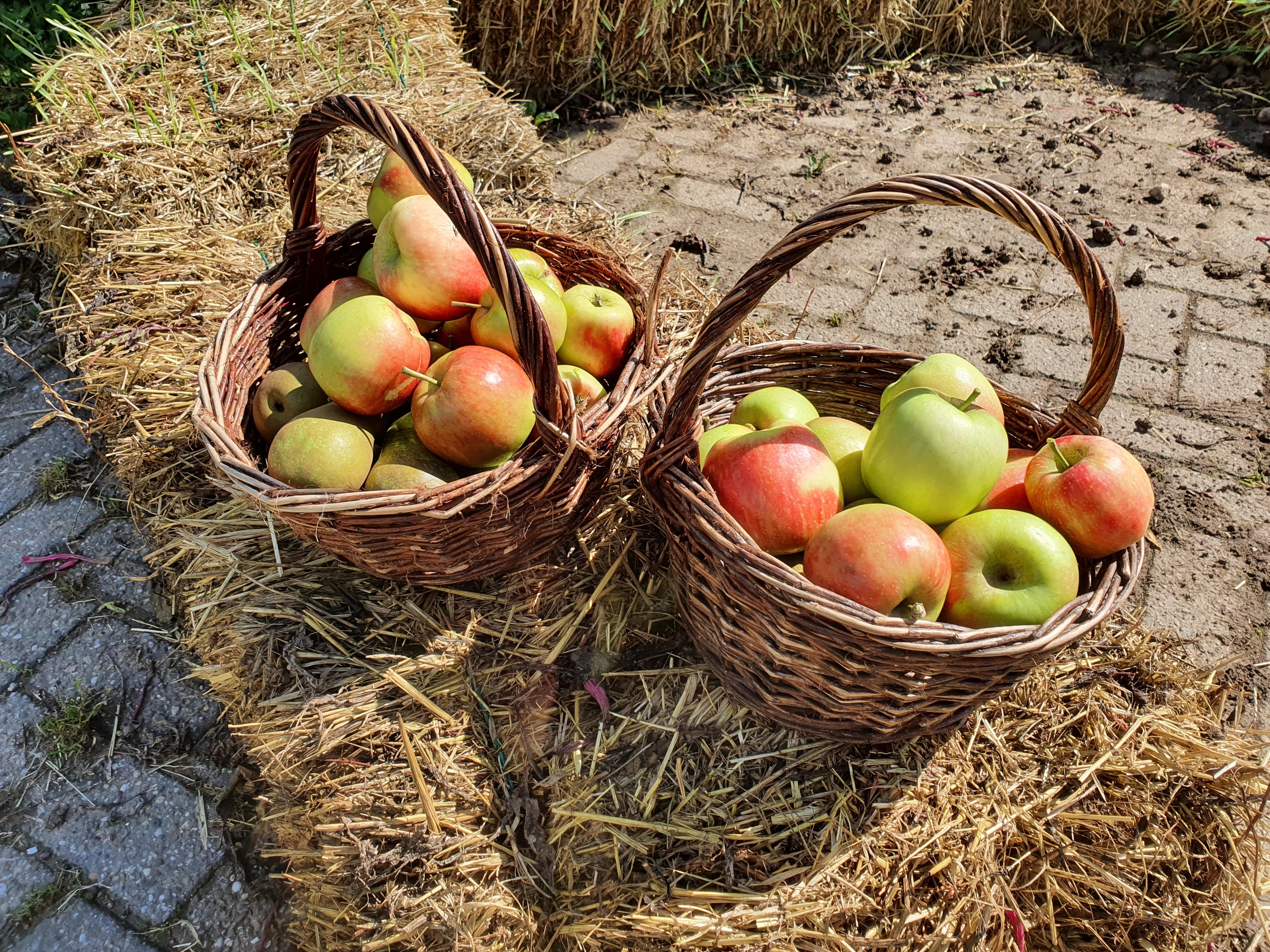 18 leuke dingen om te doen in de herfst (vakantie) + winactie