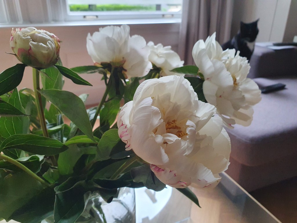 Geniet van het weekend (6) – Week&nbsp;23