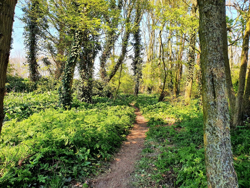 65 Toffe dates voor in de zomer | kids en&nbsp;volwassenen