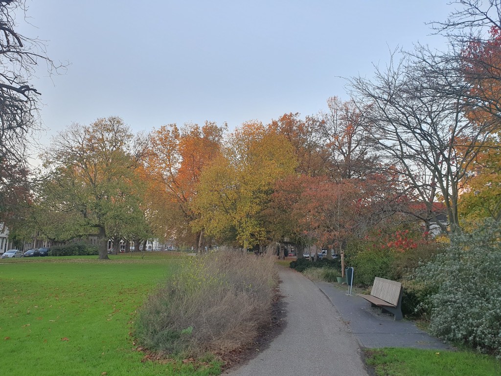 Wat kwam erbij en wat ging er weg? –&nbsp;November