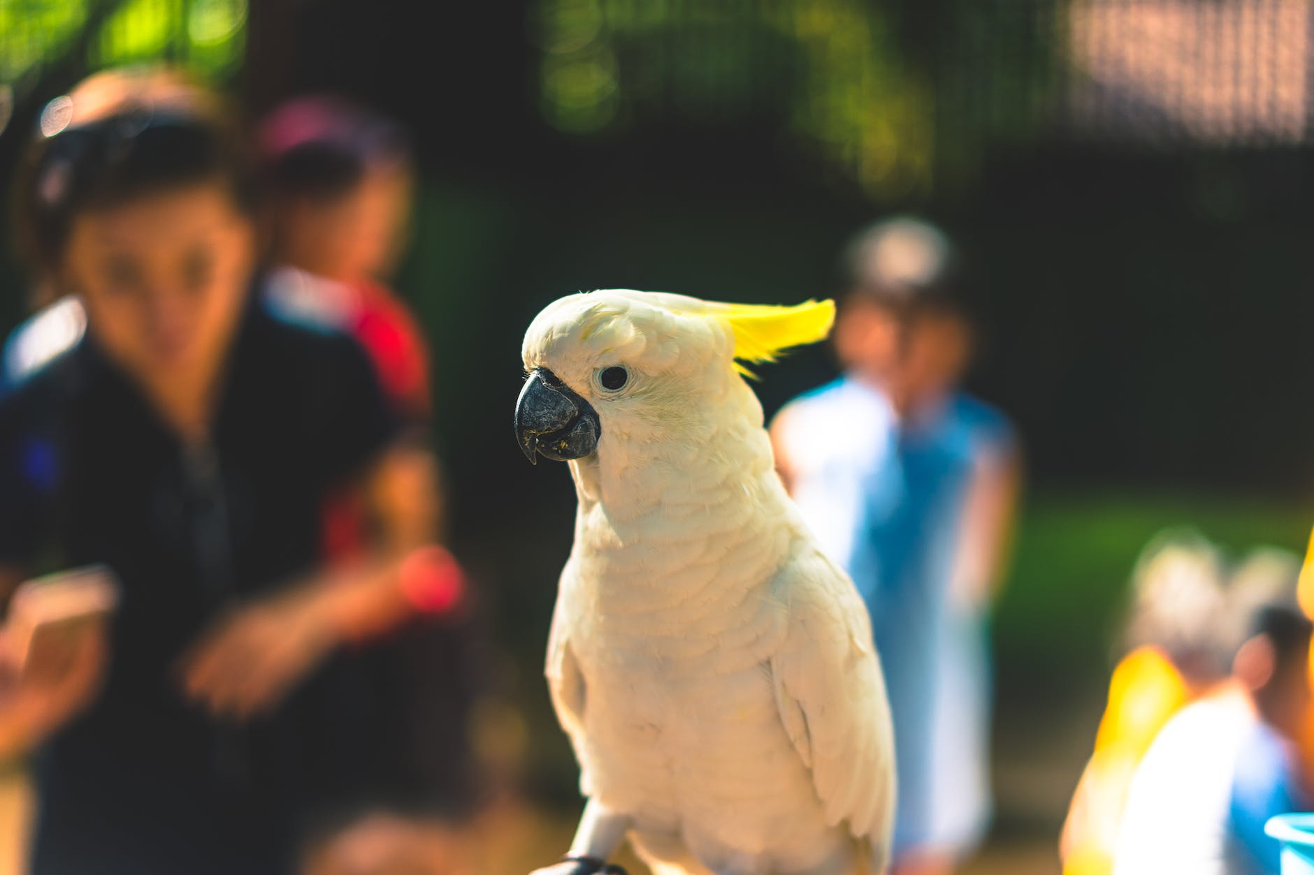 De leukste GRATIS activiteiten voor de zomer van 2023